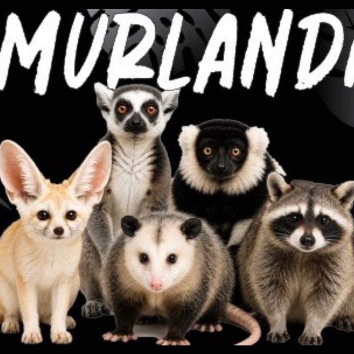 LemurLanding