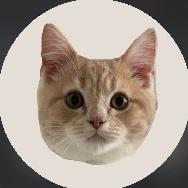 kibichankawaii