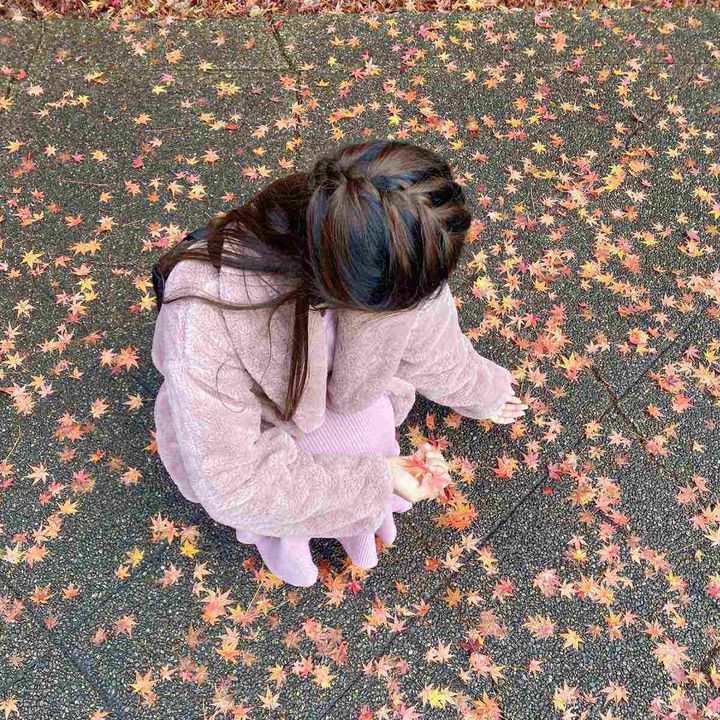 🍁MO MI JI🍁