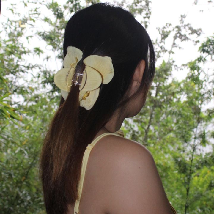 mingming ≽•⩊•≼ ❀