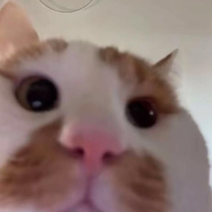 user7412148424906