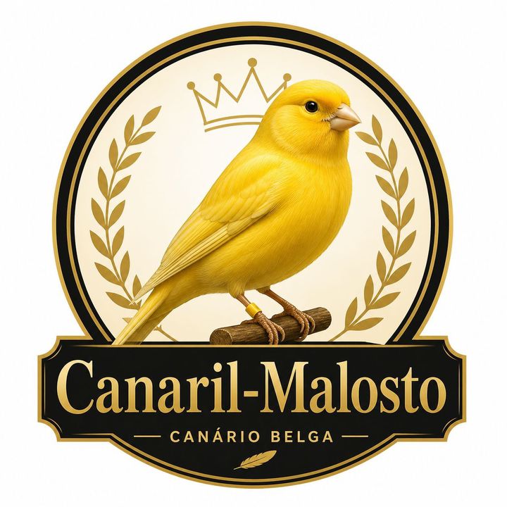 canarilmalosto