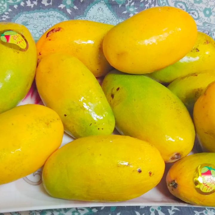 Imana
