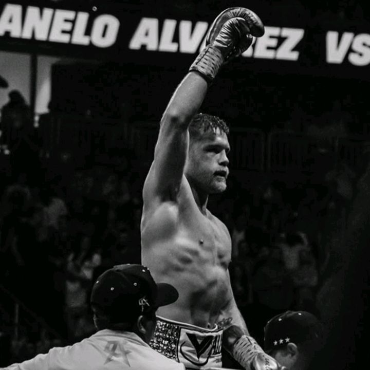 Boxing world