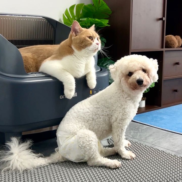 momo_n_coco6