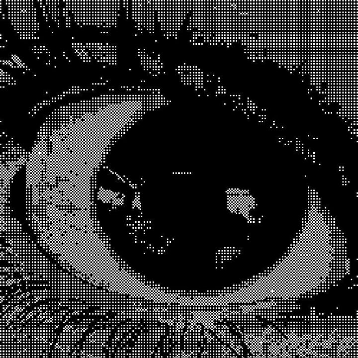 Eyes