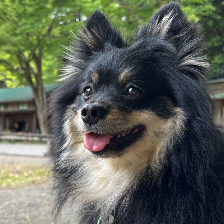つぼタビ