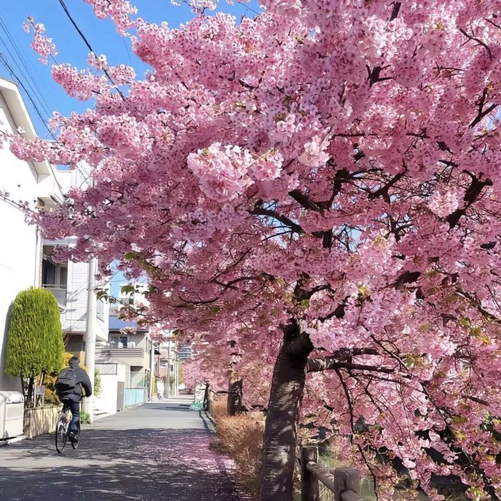 user372333361780