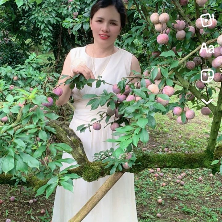 Thủy Thuỷ