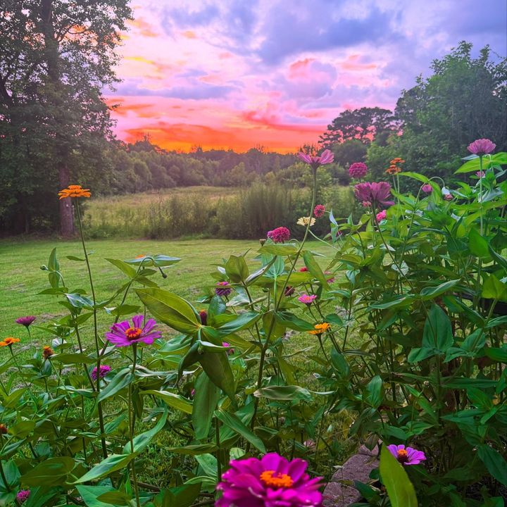 GardeningWithTaylor