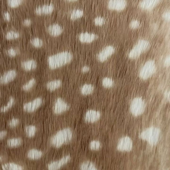 ぴの
