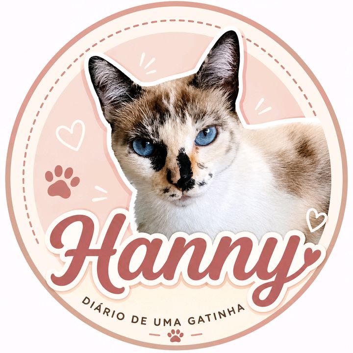 Coisinhas de gatinho 🐱