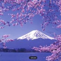 ブルーベスト