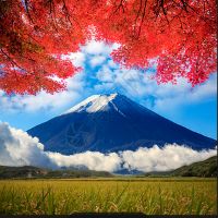 千晴ちはる