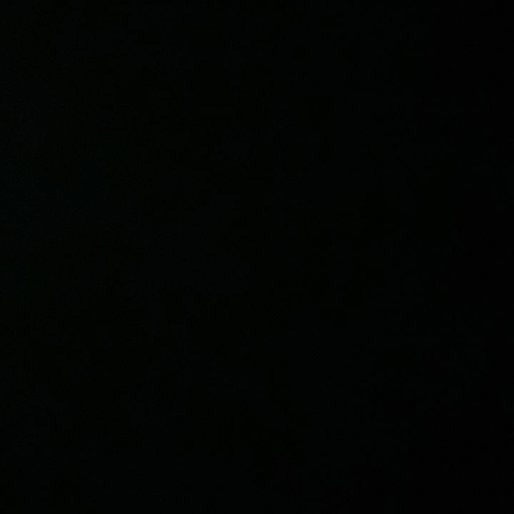 user4402990320128