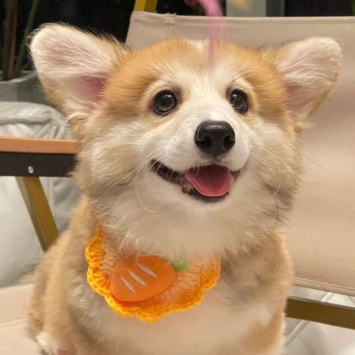 mặt trời nhỏ ☀️