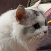 NIYAFINDS