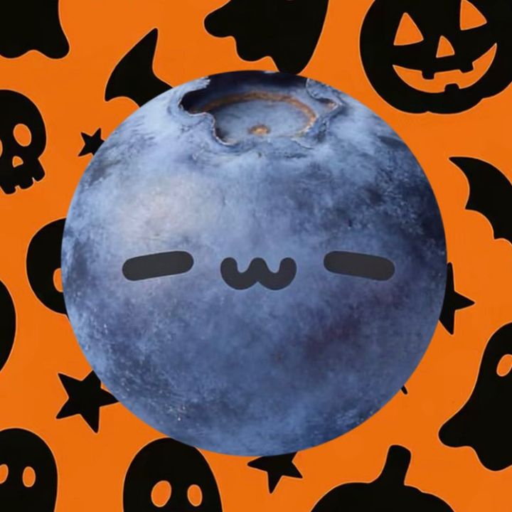 𑣲┆𝑛ix ˚.⋆ֹ🐋