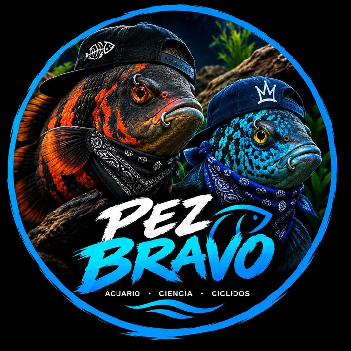 Pez Bravo Mundial