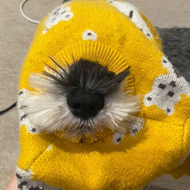 ぶんたの飼い主