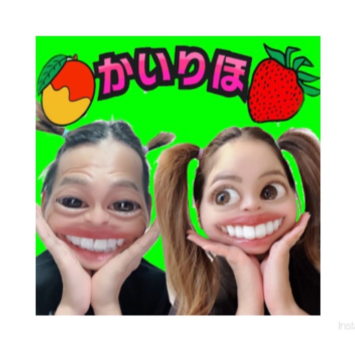 かいりほ