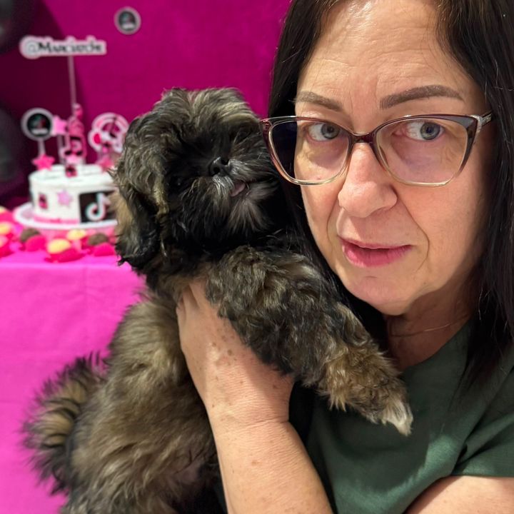Duque | Shih Tzu 💙