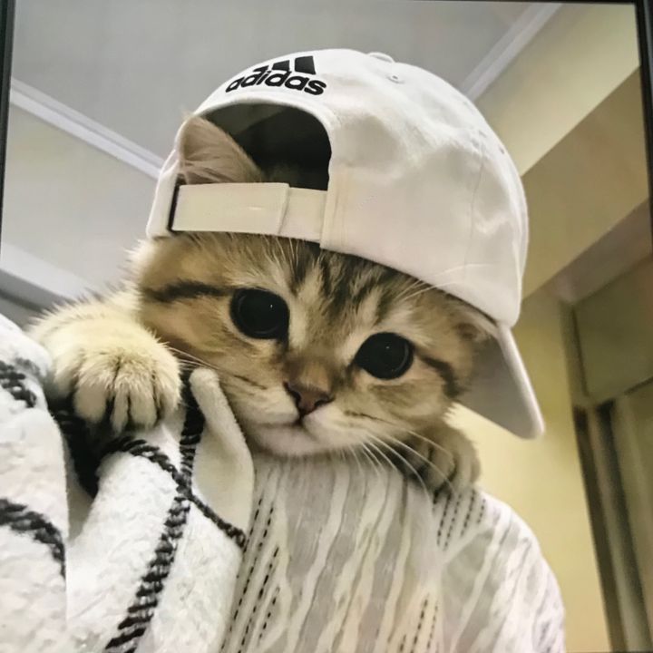 Felix