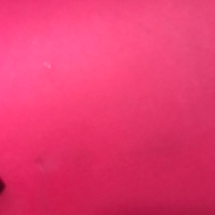 odeliazai12
