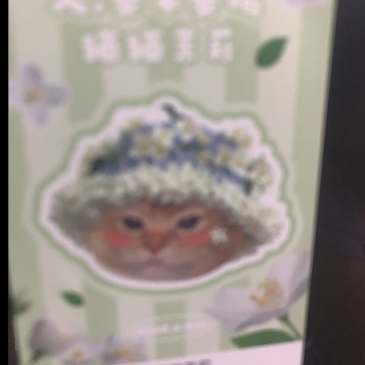 andymadeline9013
