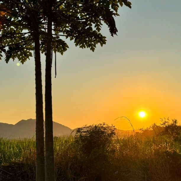 Countryside-Asia