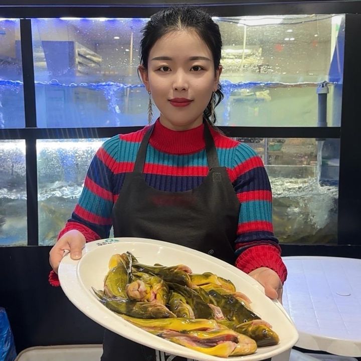genius chef
