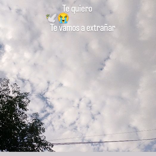 aylin✔️