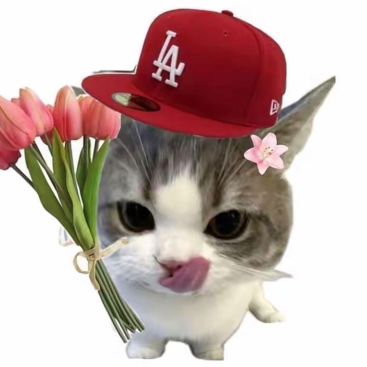 mimoralee