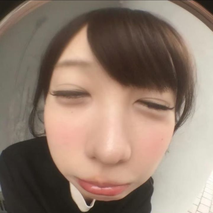 ねこもこ日記