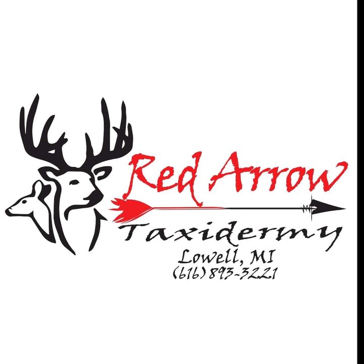 redarrowtaxidermy