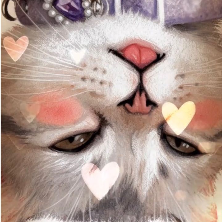 LacyScottishCat