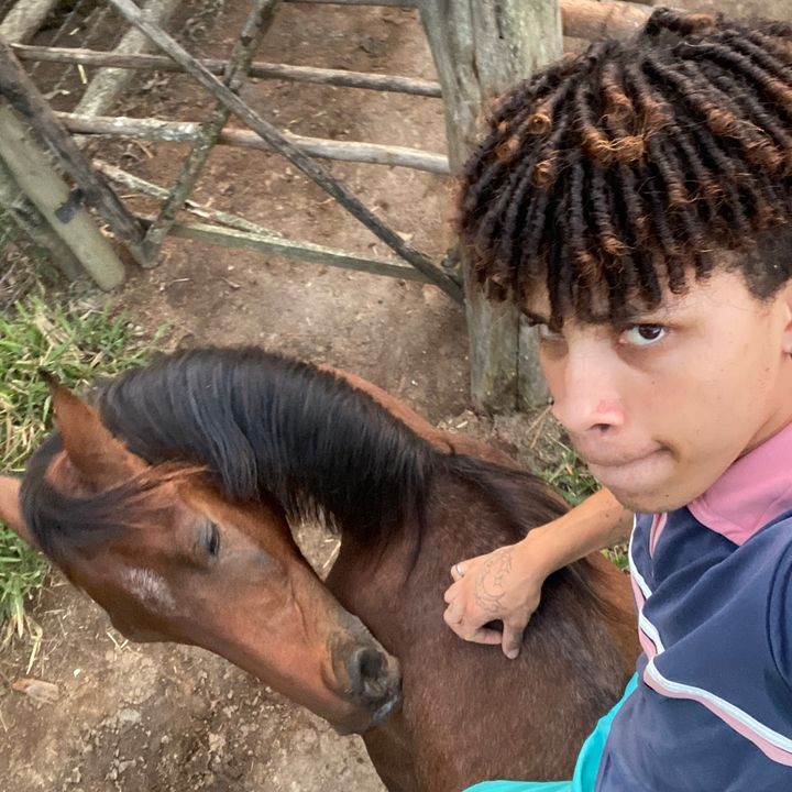 Zé Do Campo Memo