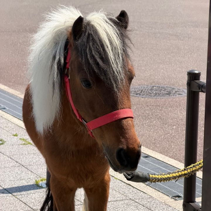 TAROUbou