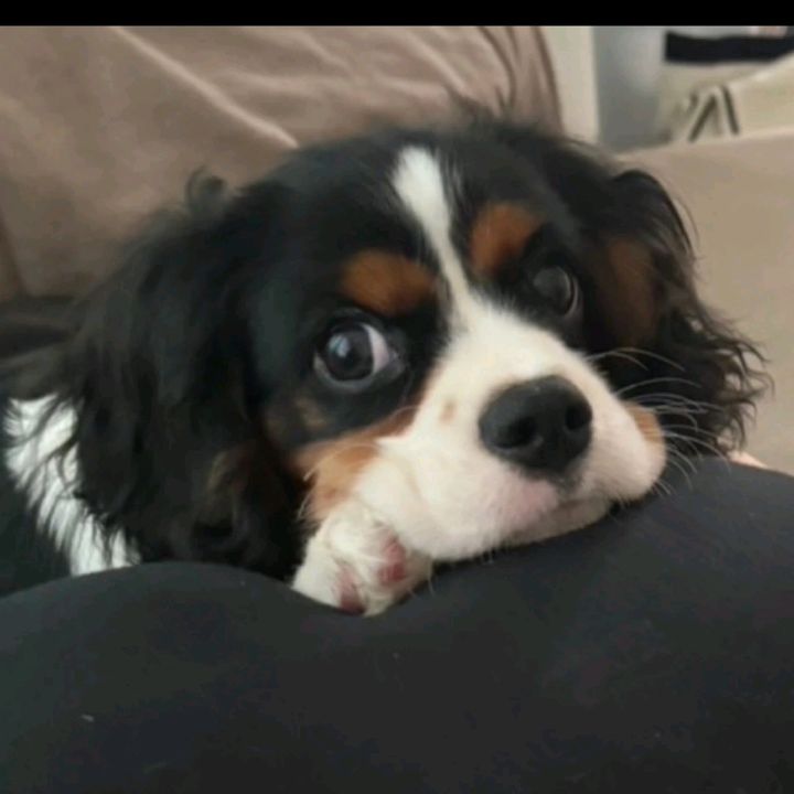 ワンドゥ