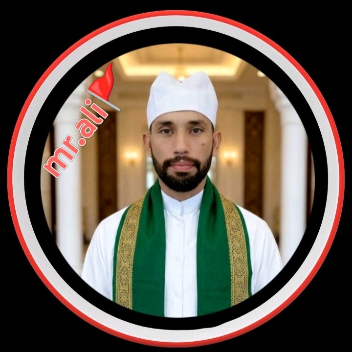 Mr-Ali 🇵🇰