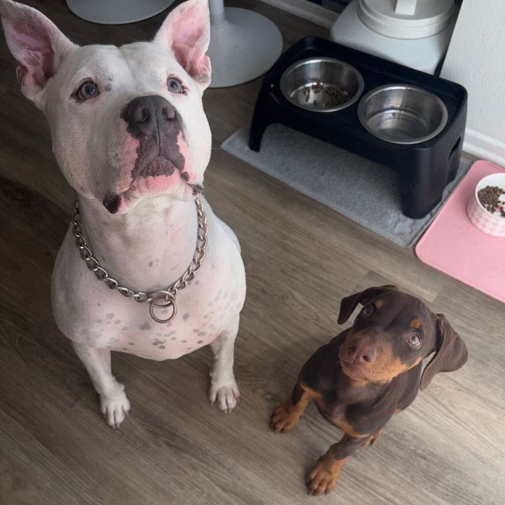 Ghosty&Coco