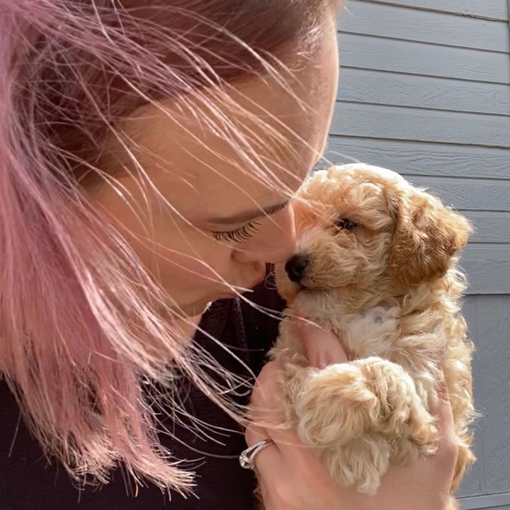 Preciouspaws77