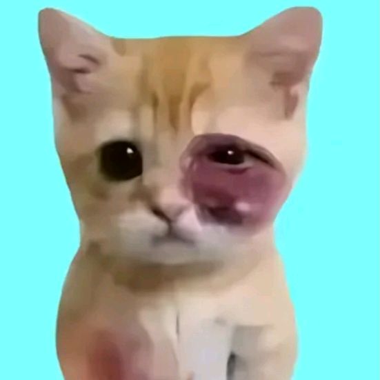 treinando