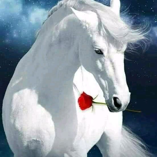 ❤️❤️❤️