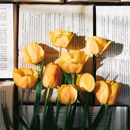 bookishthings231