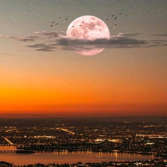 Universo de Luz