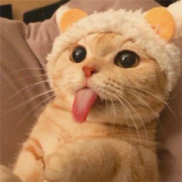 lesliestoute2118
