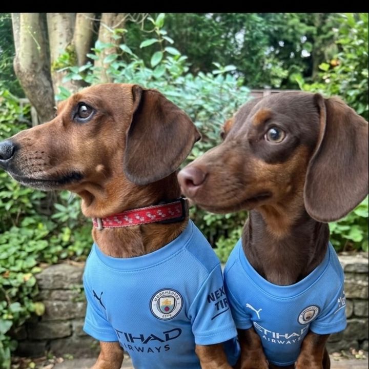 sausage siblings