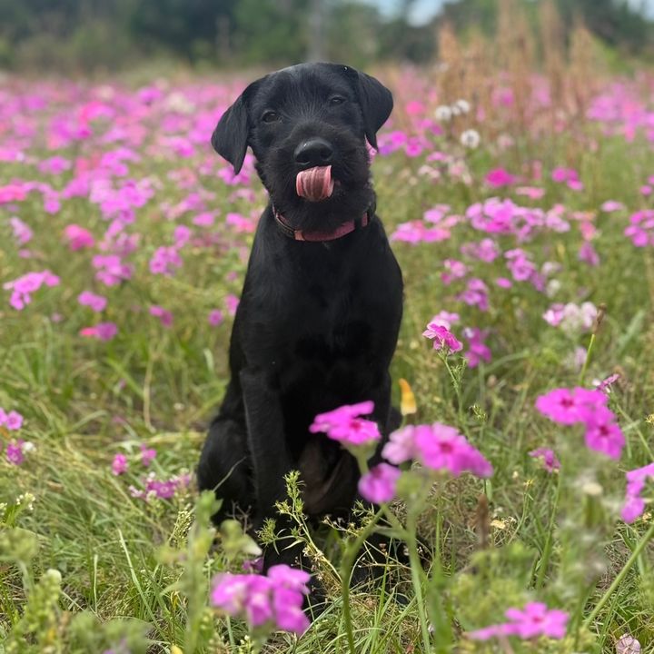 Chhayapup