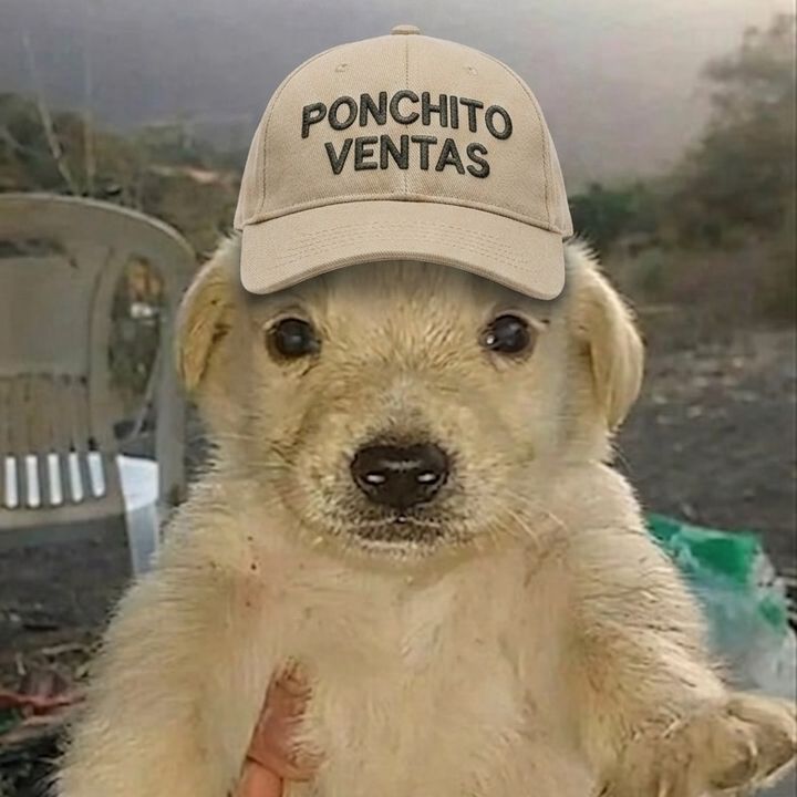 Ponchito Ventas